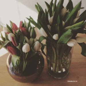 tulpen