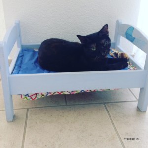 Katze im Puppenbett